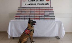 Mardin'de jandarma ekiplerince kaçak tütün ve sigara ticaretine yönelik düzenlenen operasyonlarda piyasa değeri 8 milyo