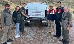 Bitlis'e komşu  ilde kaçak avlanan şahıs yakalandı
