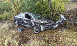 Bingöl'de otomobil ağaçlara çarptı: 2 yaralı