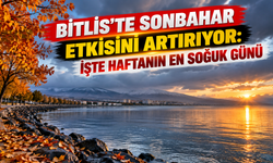 Bitlis'te sonbahar etkisini artırıyor: İşte haftanın en soğuk günü