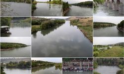Yağışlarla birlikte Dicle Nehri'nin debisi arttı