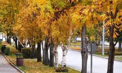 Doğu Anadolu'da hava değişiyor: Yağış ve sis uyarısı