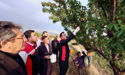 Güroymak ilçesinde badem hasadı yapıldı