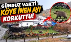 Gündüz Vakti Köye İnen Ayı Korkuttu!