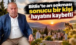 Bitlis'te arı sokması sonucu bir kişi hayatını kaybetti