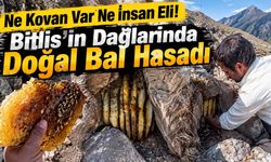 Ne Kovan Var Ne İnsan Eli! Bitlis’in Dağlarında Doğal Bal Hasadı