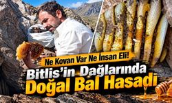 Ne Kovan Var Ne İnsan Eli! Bitlis’in Dağlarında Doğal Bal Hasadı