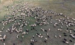 Bitlis ve Van’ın Serin Yaylalarından Siirt'e Dönüş yolculuğu Başladı