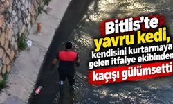 Bitlis'te yavru kedinin, kendisini kurtarmaya gelen itfaiye ekibinden kaçışı gülümsetti