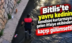Bitlis'te yavru kedinin, kendisini kurtarmaya gelen itfaiye ekibinden kaçışı gülümsetti