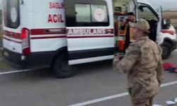 Muş'tan Van'a gidiyorlardı: Araçta 7 kişi vardı, bir ağır yaralı