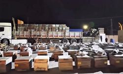 Şaşırtan yöntem! Uyuşturucuyu arı kovanlarının arasına sakladılar
