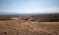 Şırnak'ta "Yeşil Silopi" hamlesi: Ağaçlandırma yapılacak alan belirlendi