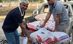 Tarımsal miras hamlesi: Ata tohumu Karakılçık buğdayı koruma altına alınıyor