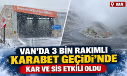 Van'da 3 bin rakımlı Karabet Geçidi’nde kar ve sis etkili oldu
