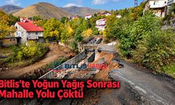 Bitlis’te yoğun yağış sonrası mahalle yolu çöktü