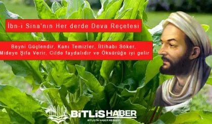 İbn-i Sina'nın Her derde Deva Reçetesi: Kuzu Kulağının Faydaları