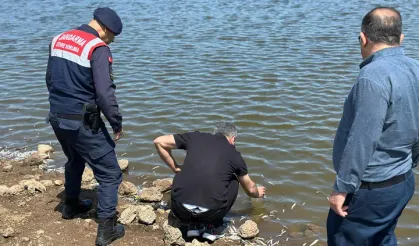 Diyarbakır’da Gölette Balık Ölümleri: Nedeni Oksijen Eksikliği ve Kirlilik