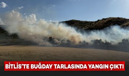 Bitlis’te Buğday Tarlasında Yangın Çıktı