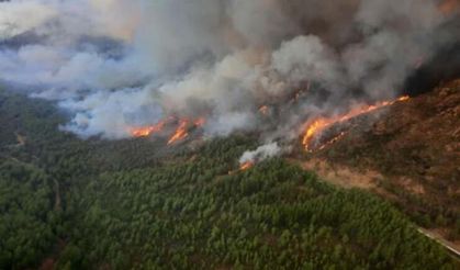 Hakkari’de Orman Yangını İkinci Gününde Kontrol Altına Alınamadı