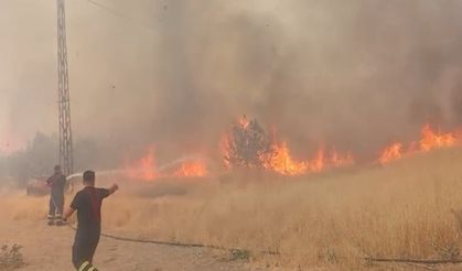 Şırnak’ta Orman Yangınına Havadan ve Karadan Müdahale