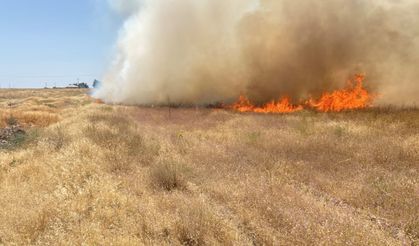 Adilcevaz'da anız yangını arpa tarlasını küle çevirdi