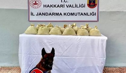 Hakkari’de 15 kilo toz esrar ele geçirildi