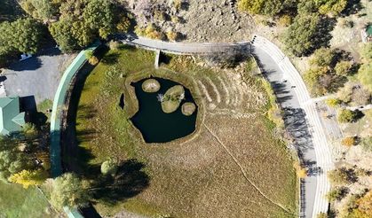 Yüzen Adalar’da Sonbaharın Renk Cümbüşü