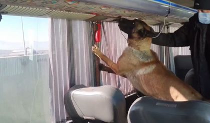 Otobüs bagajındaki yangın tüplerinden 8 kilo skunk çıktı