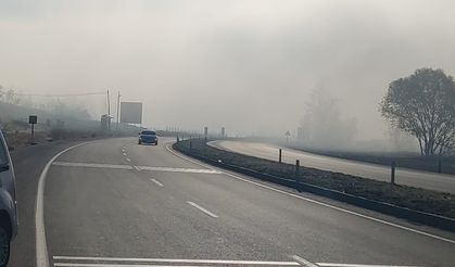 Bingöl’de sis etkili oldu