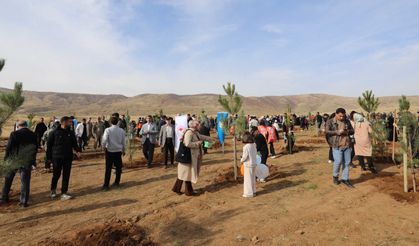 Bitlis Eren Üniversitesi’nden Geleceğe Nefes: Fidanlar Toprakla Buluştu
