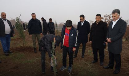 Güroymak'ta Ağaç Dikme Etkinliği