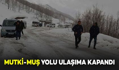 Mutki-Muş Yolu Yoğun Kar Yağışı Nedeniyle Ulaşıma Kapandı