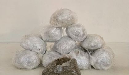 Diyarbakır’da uyuşturucuya darbe: 23 kilo esrar ele geçirildi