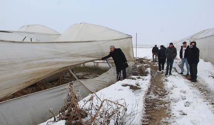 HÜDA PAR İl Başkanı Şahin: Seralarda Büyük Hasar Var, Çiftçi Destek Bekliyor