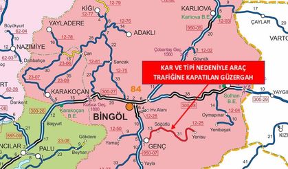 Bingöl’ün ilçesinde bir yol trafiğe kapatıldı
