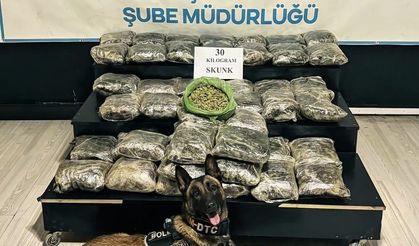 Durdurulan araçta 30 kilo skunk ele geçirildi