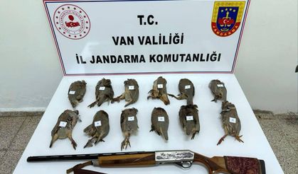 Van’da keklik avlayan kişiye 81 bin TL ceza