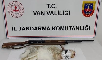 Van’da tavşan avlayan şahsa 29 bin TL ceza
