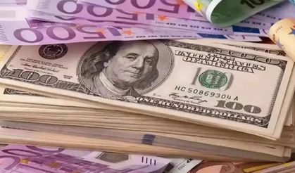 24 Şubat Döviz Kurlarında Son Durum