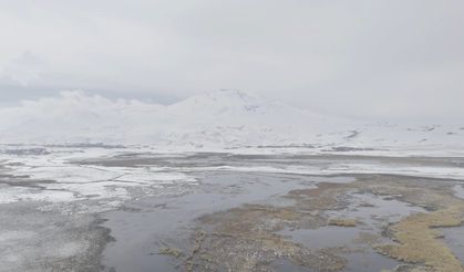 Bitlis'te Sarısu Sazlıkları ve Süphan Dağı'nın Karlı Zirvesi Hayran Bıraktı