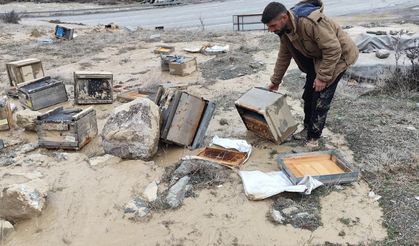 Çıkan selde 150 arılı kovan zarar gördü