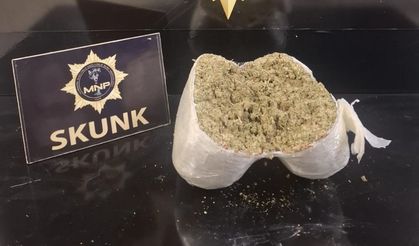Yolcu otobüsünde 2 kilo 72 gram skunk ele geçirildi