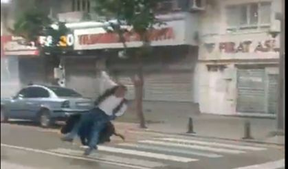 Batman’da Yaban Domuzu Paniği: Şehir Merkezinde Bir Kişi Yaralandı