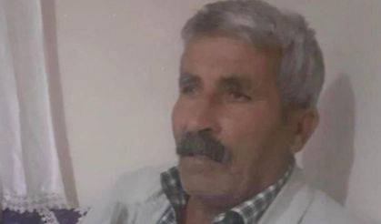 Diyarbakır’da  İneğinin peşinden giderken hayatını kaybetti