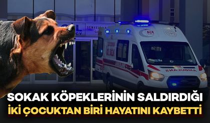 Van’da Sokak Köpekleri İki Çocuğa Saldırdı: 5 Yaşındaki Hamza Hayatını Kaybetti