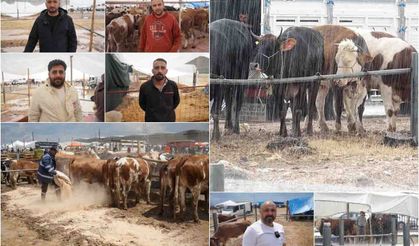 Kurban pazarında çamur çilesi: Besiciler çözüm bekliyor