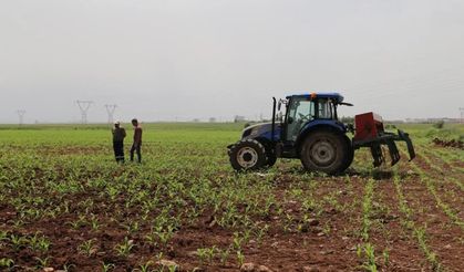 Tarımsal destek ödemesi çiftçilerin hesaplarına aktarılıyor