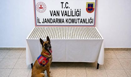 Van’da 8 İranlı’nın Midesinden 3 Kilo Esrar Çıktı