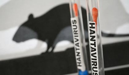 Sağlık Bakanlığı: Türkiye’de hantavirüs pozitif vakası tespit edilmedi
